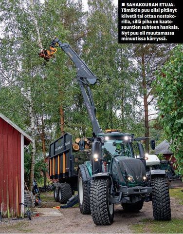 metsamatikainen