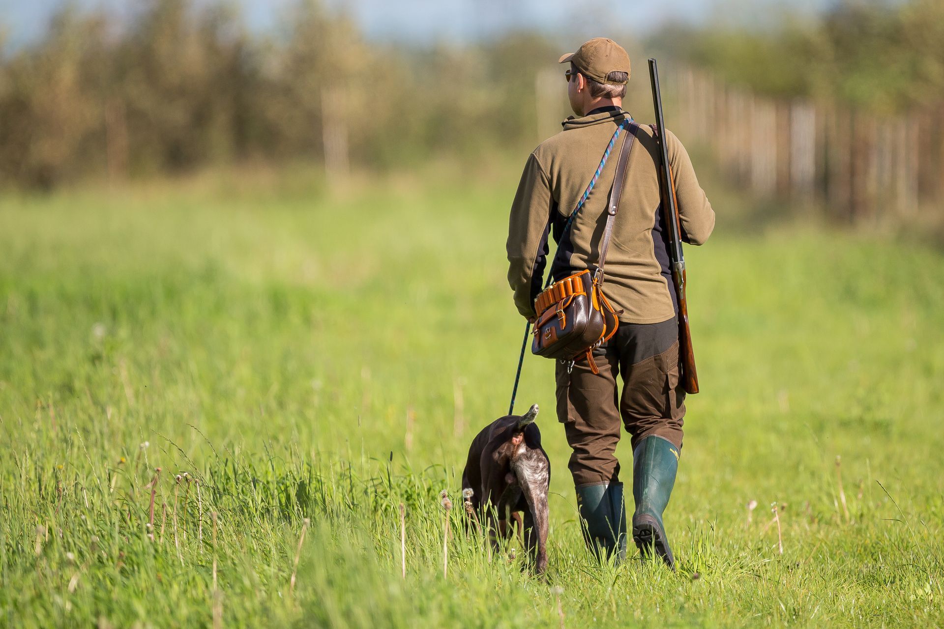 Un chasseur marche dans les hautes herbes avec un chien en laisse ; il porte un fusil de chasse.