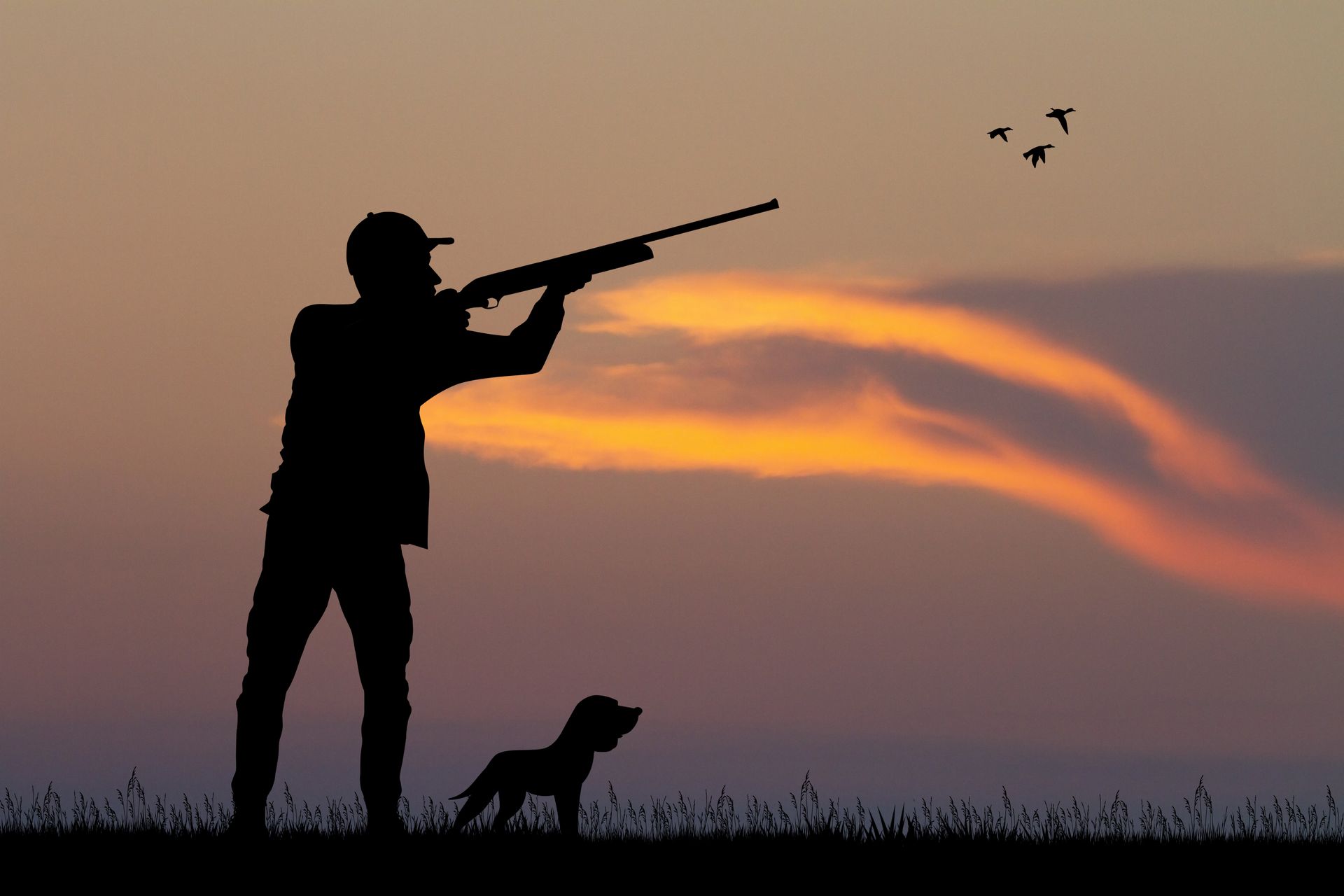 Un chasseur vise des oiseaux au coucher du soleil avec son fusil ; un chien se tient à ses pieds.