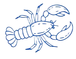 Dessin au trait bleu d'un homard aux pinces relevées sur fond blanc.