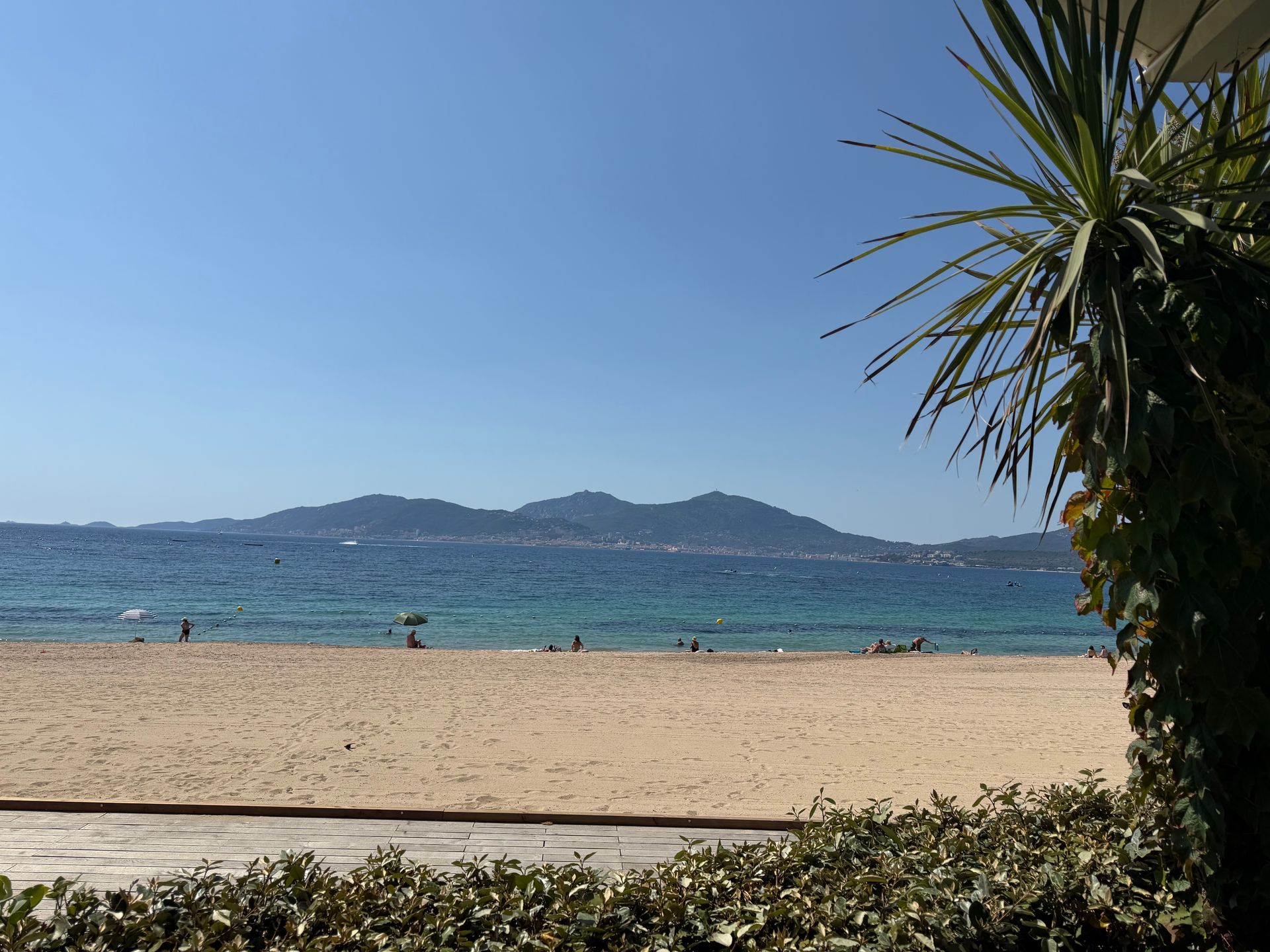 Plage ensoleillée avec mer bleue, collines au loin et un palmier au premier plan.