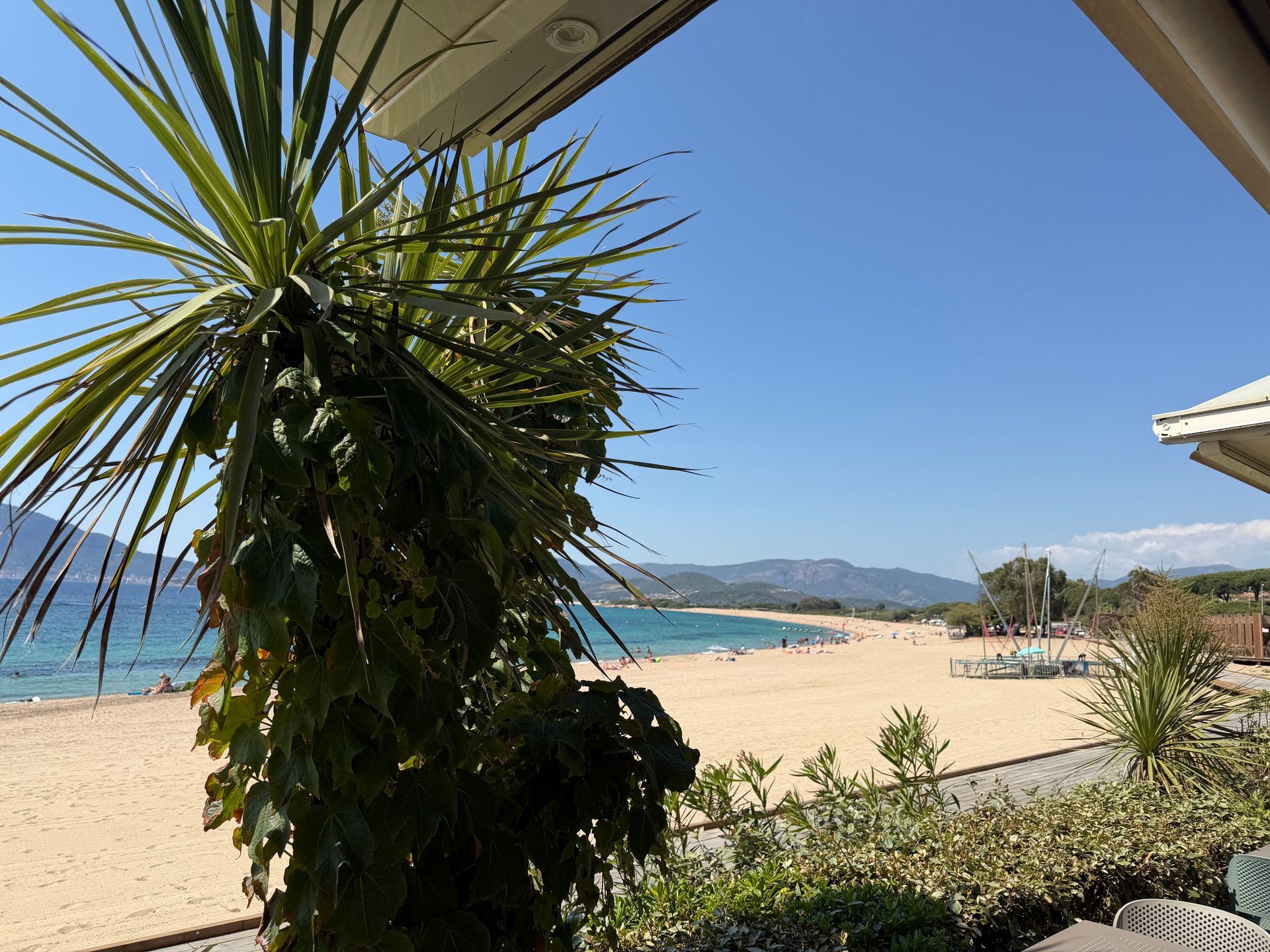 Plage ensoleillée bordée de palmiers, mer bleue, sable fin et montagnes au loin sous un ciel dégagé.