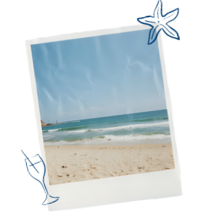 Scène de plage style Polaroid avec océan bleu, rivage sablonneux et dessins de coquillages sur fond blanc.