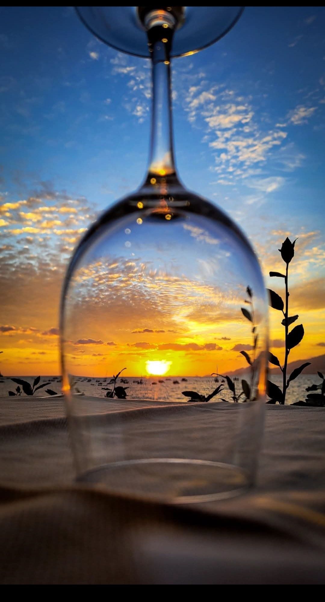 Coucher de soleil vu à travers un verre à vin renversé sur une plage, avec un ciel bleu et des silhouettes de palmiers.