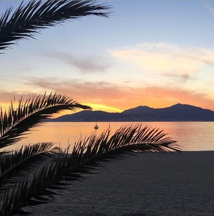 Coucher de soleil sur une eau calme, avec des palmes en silhouette et des montagnes au loin.