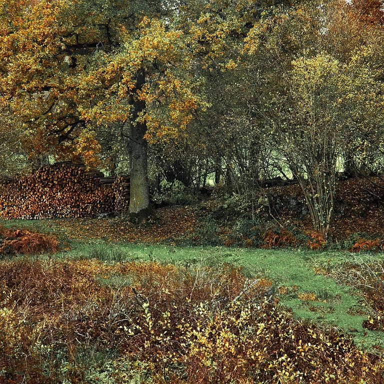 Photographe dans la Creuse, Auvergne Reportage Chantal Gayaud