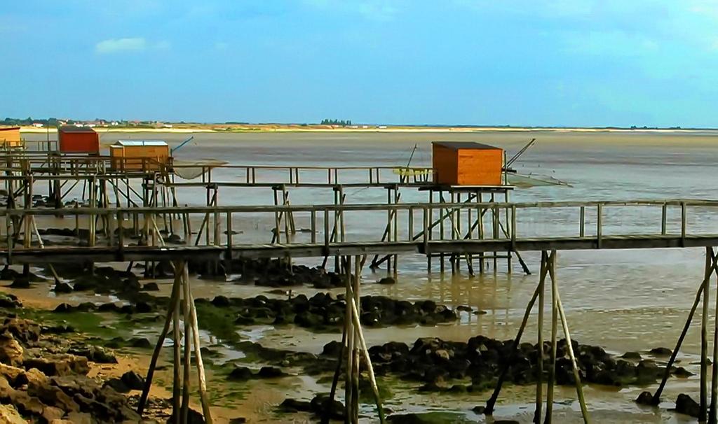 Photographe, Auvergne Reportage Chantal Gayaud charentes maritimes
