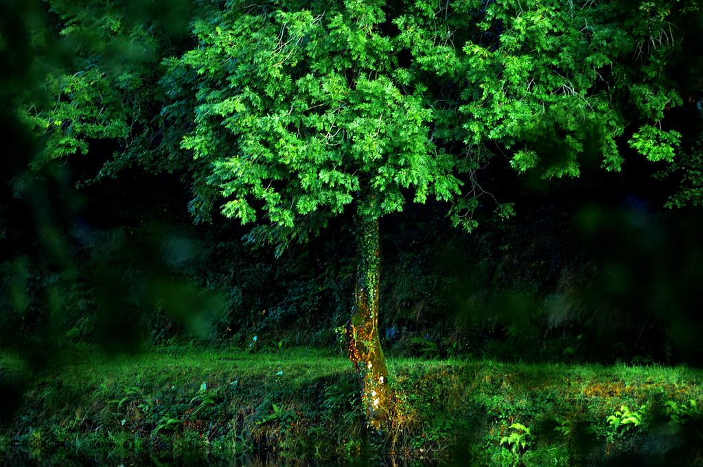 Photographe, Auvergne Reportage Chantal Gayaud