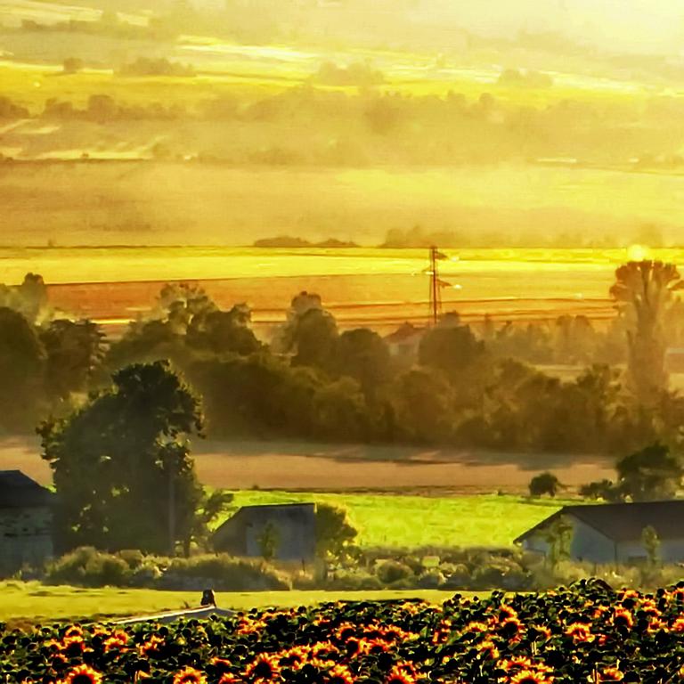 Photographe, Auvergne Reportage Chantal Gayaud