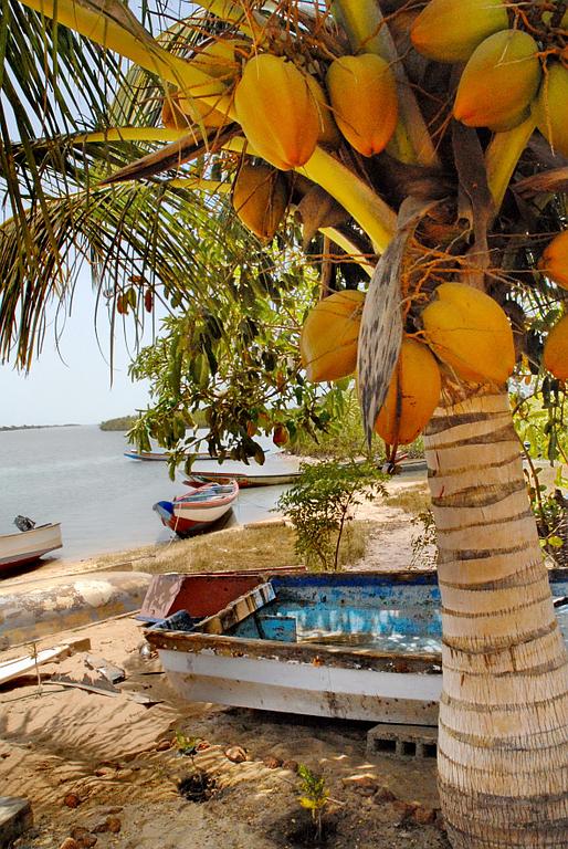 Auvergne Reportage Chantal Gayaud bord mer sénégal