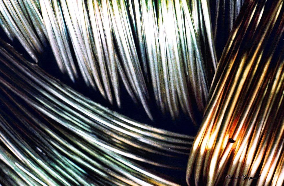 Photographe, Auvergne Reportage Chantal Gayaud 