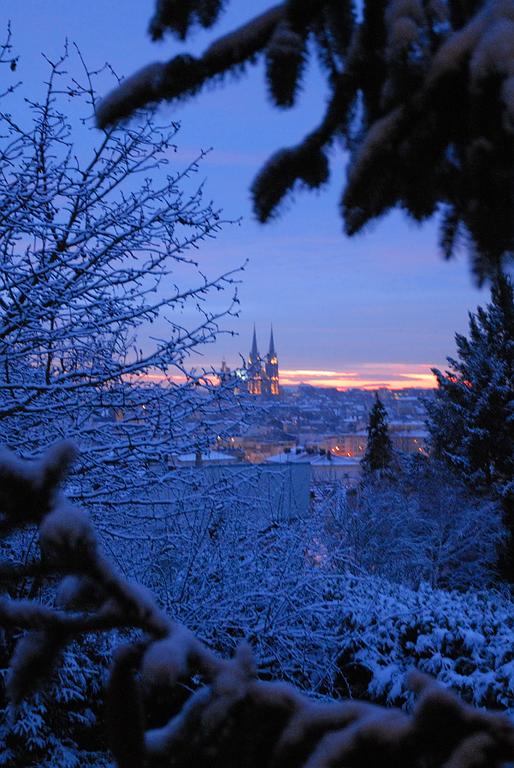 Photographe, Auvergne Reportage Chantal Gayaud Clermont Fd