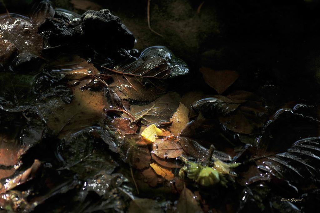 Photographe, Auvergne Reportage Chantal Gayaud