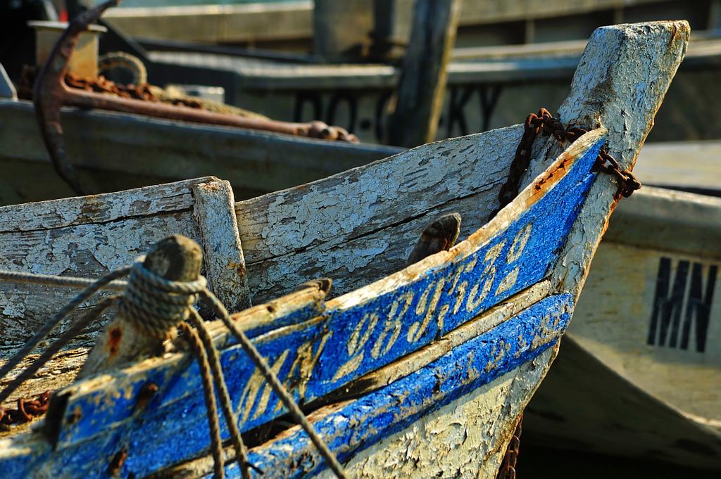 Photographe, Auvergne Reportage Chantal Gayaud