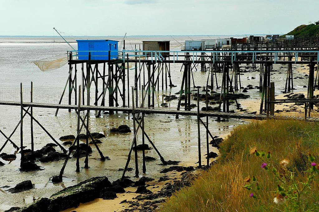 Auvergne Reportage Chantal Gayaud vue de mer 