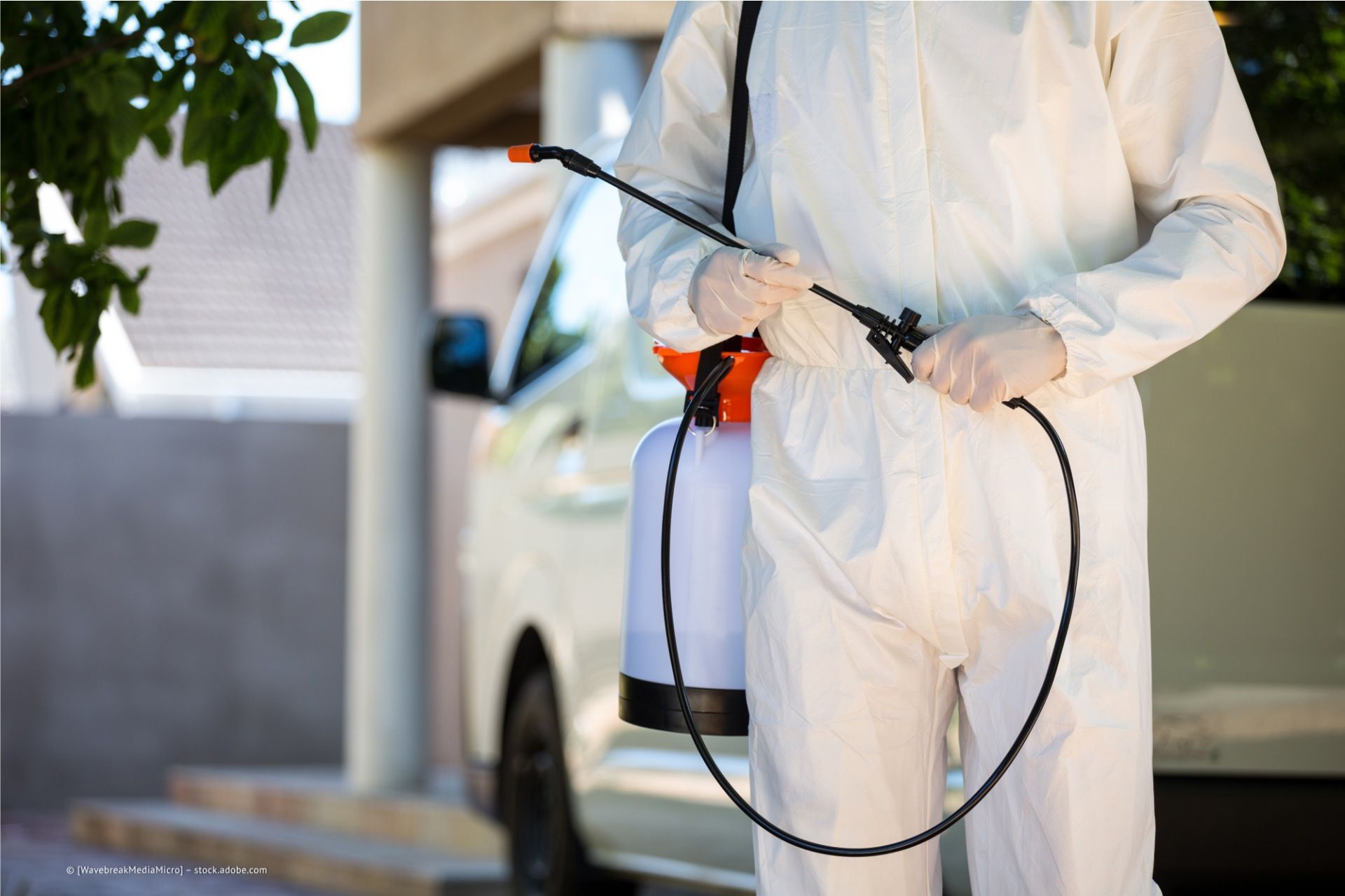 Schädlingsbekämpfung