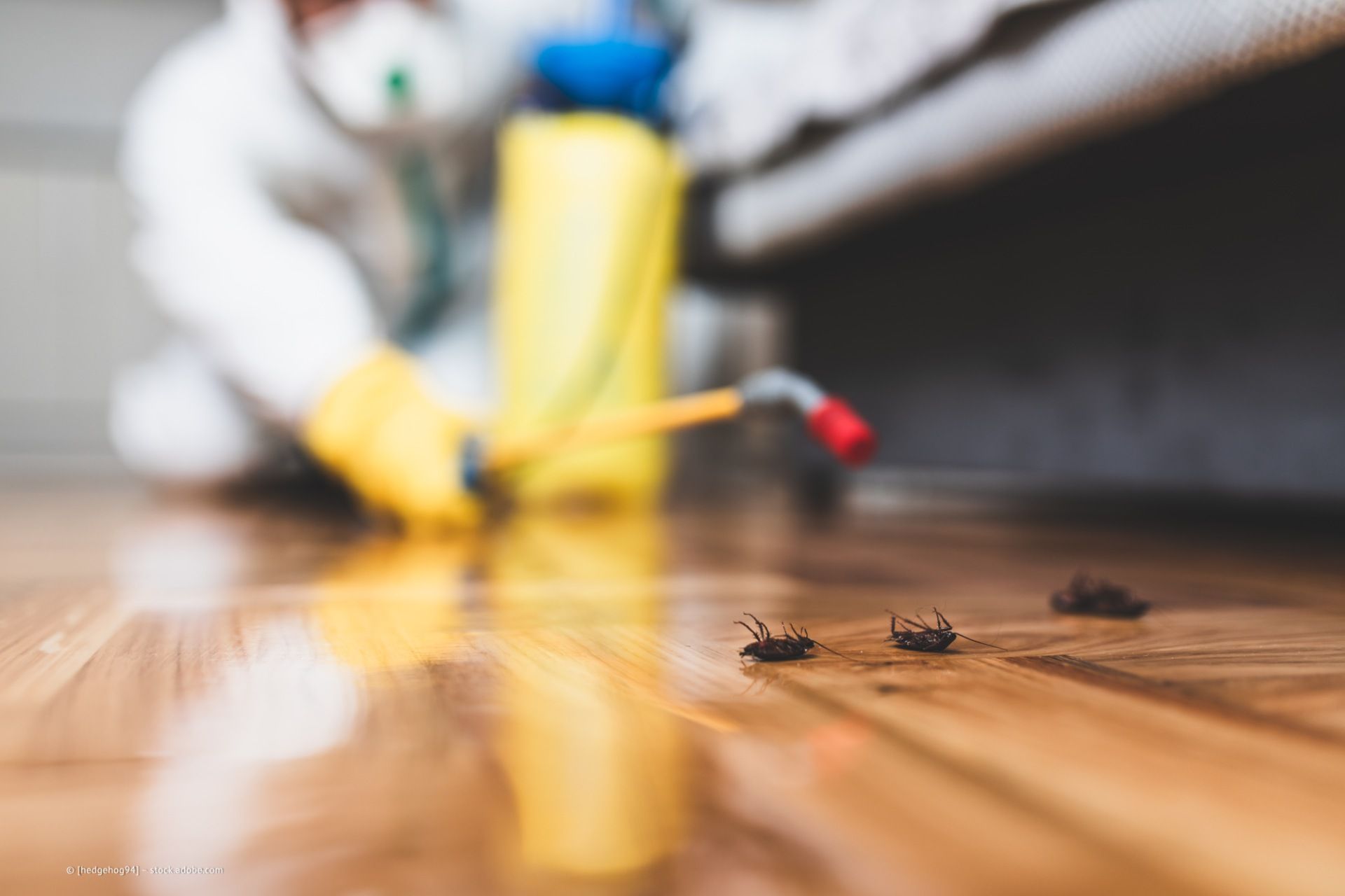 Schädlingsbekämpfung