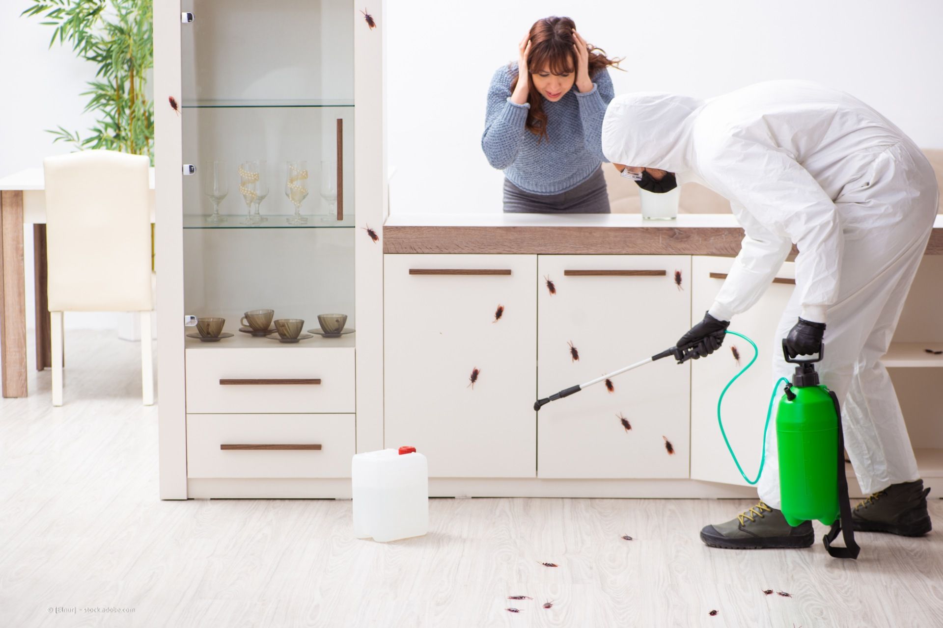 Schädlingsbekämpfung