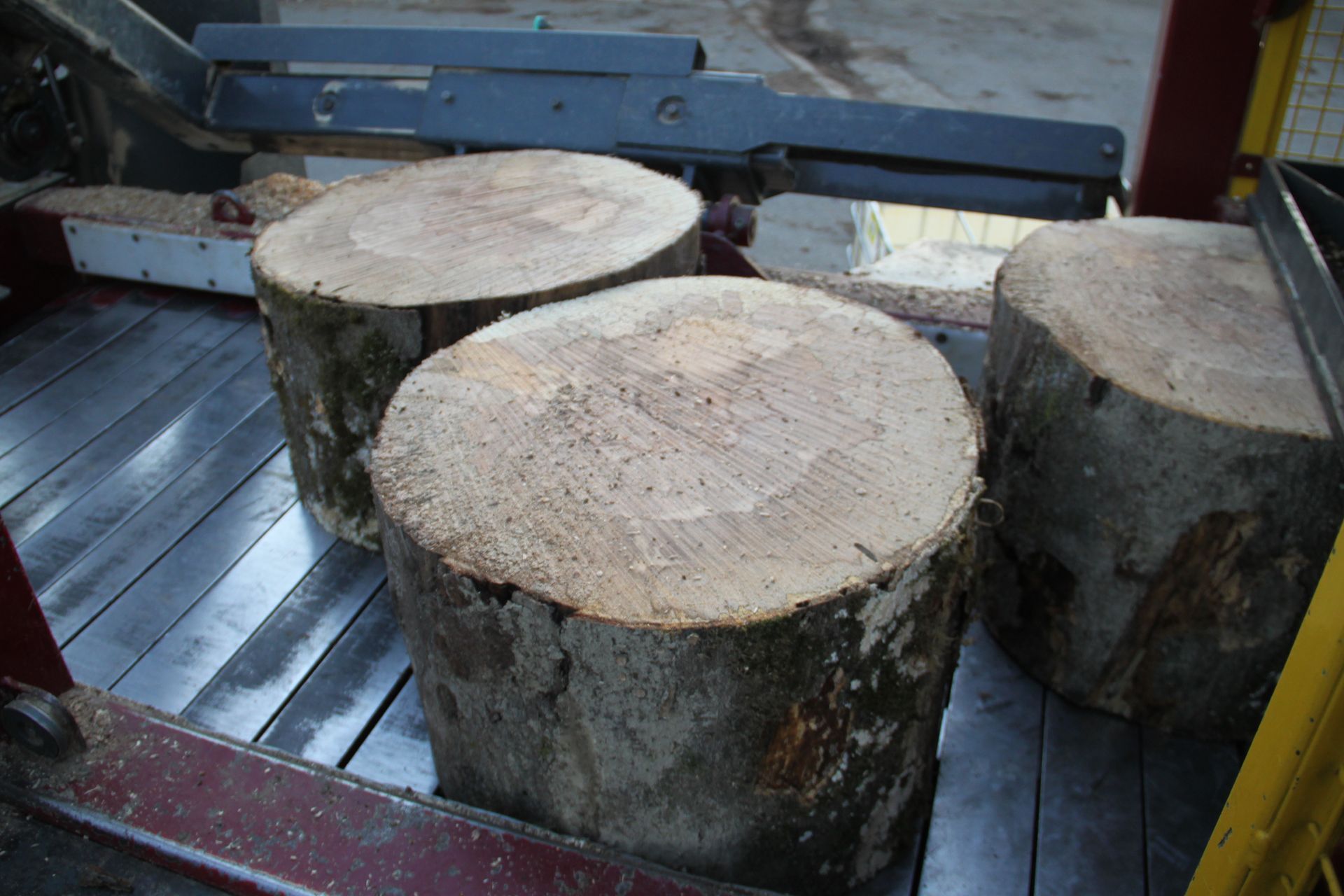 Des bûches empilées dans une clairière, avec des arbres verts en arrière-plan.