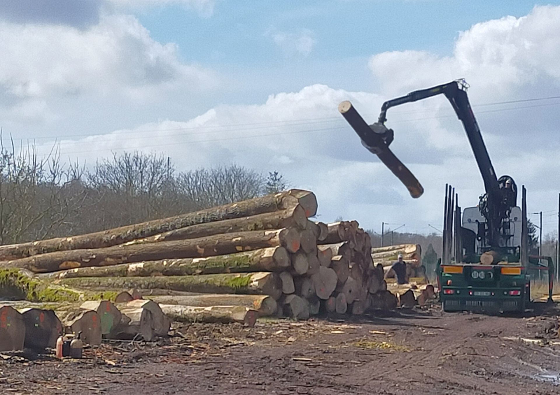 Une machine forestière soulève une grume et la dépose sur un tas de grumes dans une zone boueuse avec des arbres en arrière-plan.
