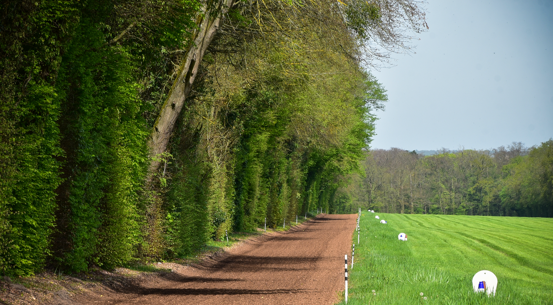 Une piste pour chevaux