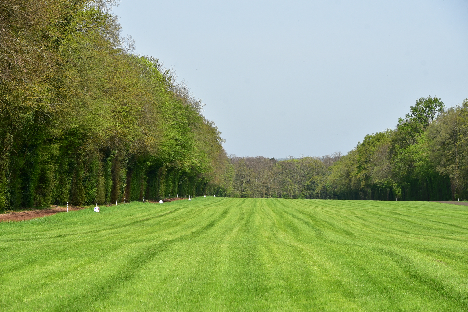 Un grand espace vert