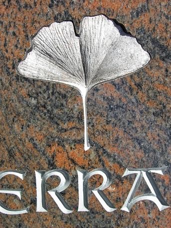 Ein Grabstein mit einem eingeschnitzten Ginkgoblatt.