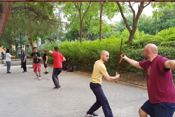 Un grupo de hombres está practicando artes marciales en un parque.