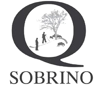 Un logotipo en blanco y negro que muestra la silueta de figuras y un árbol dentro de la letra Q, encima del texto 