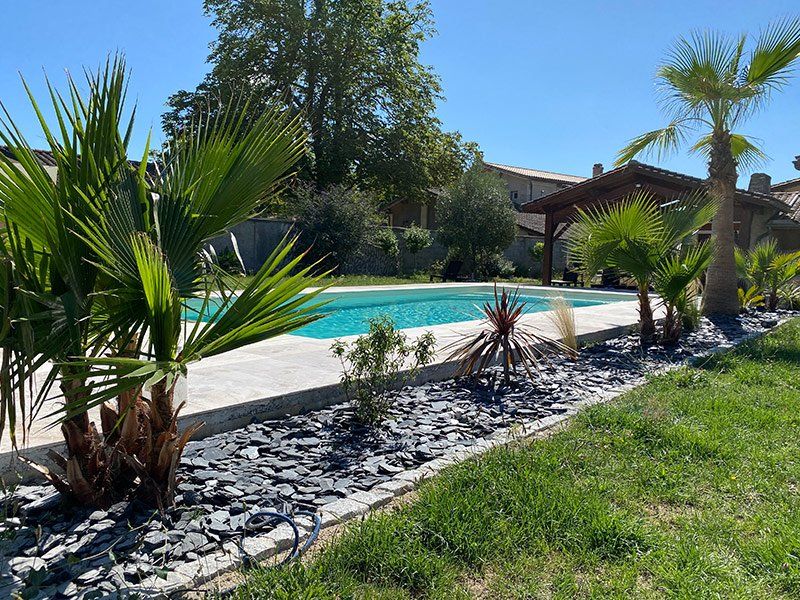 bord d'une piscine avec des plantes