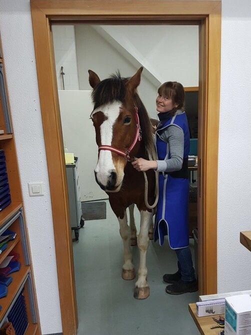 Mitarbeiterin posiert mit Pferd