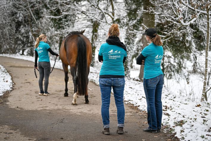 Spaziergang mit dem Pferd