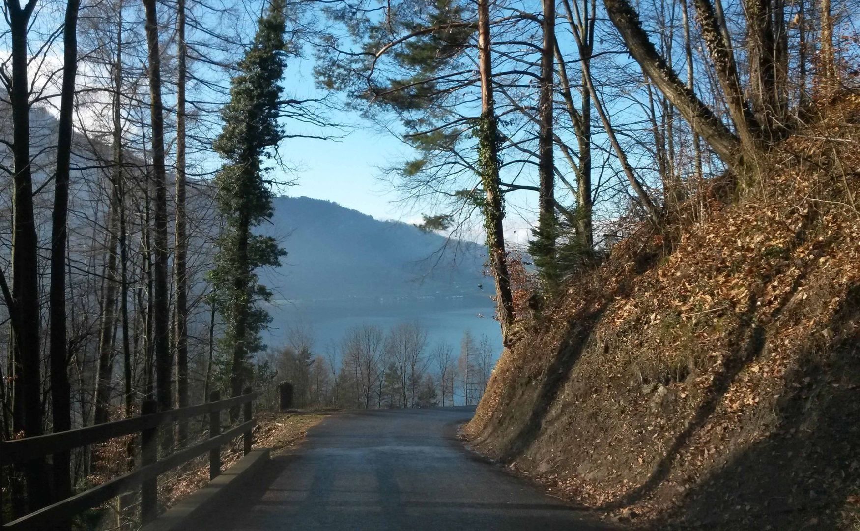 Pferdeklinik Moosweid
