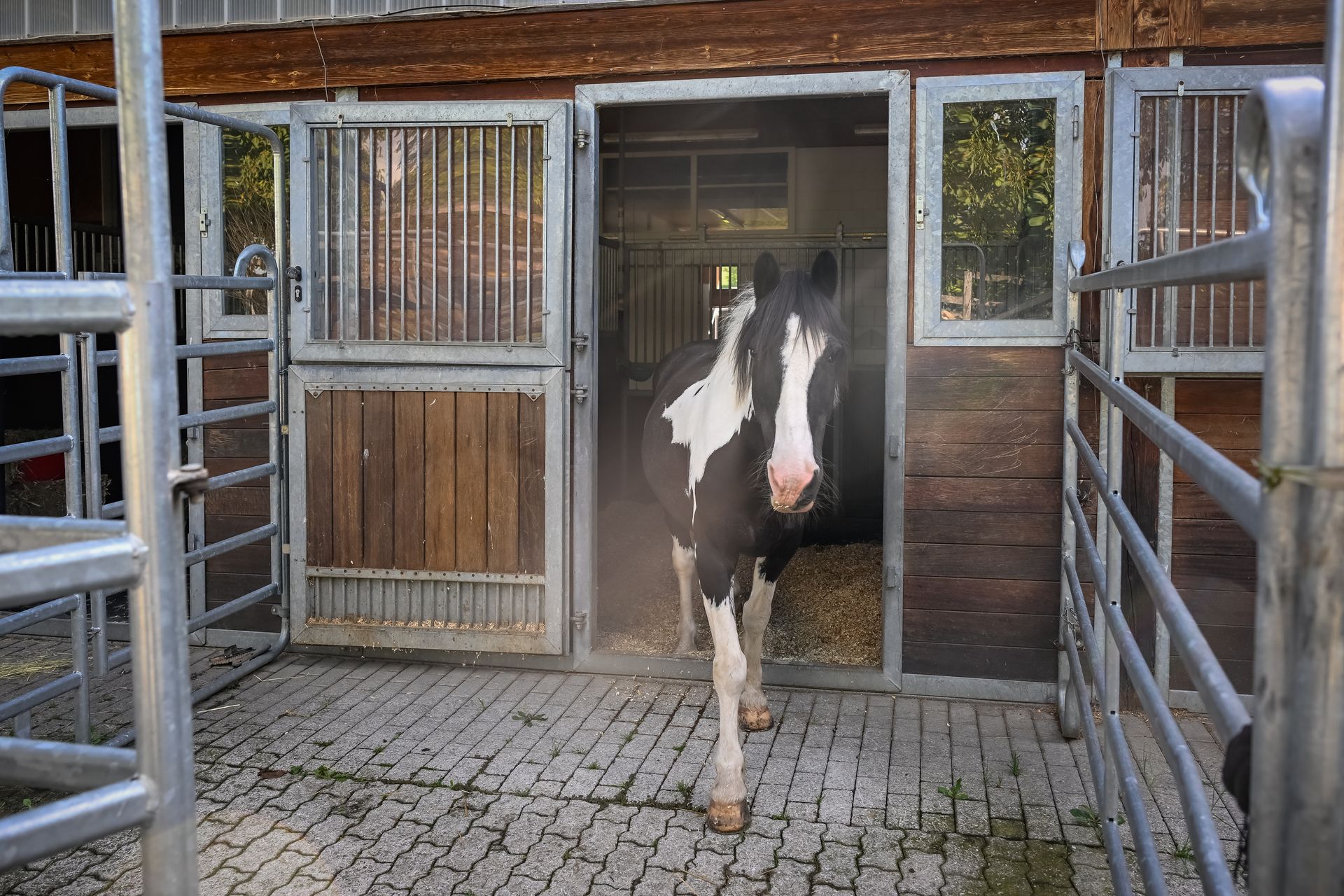 Stationäres Zusatzangebot, Boxenruhe und Stabilisation