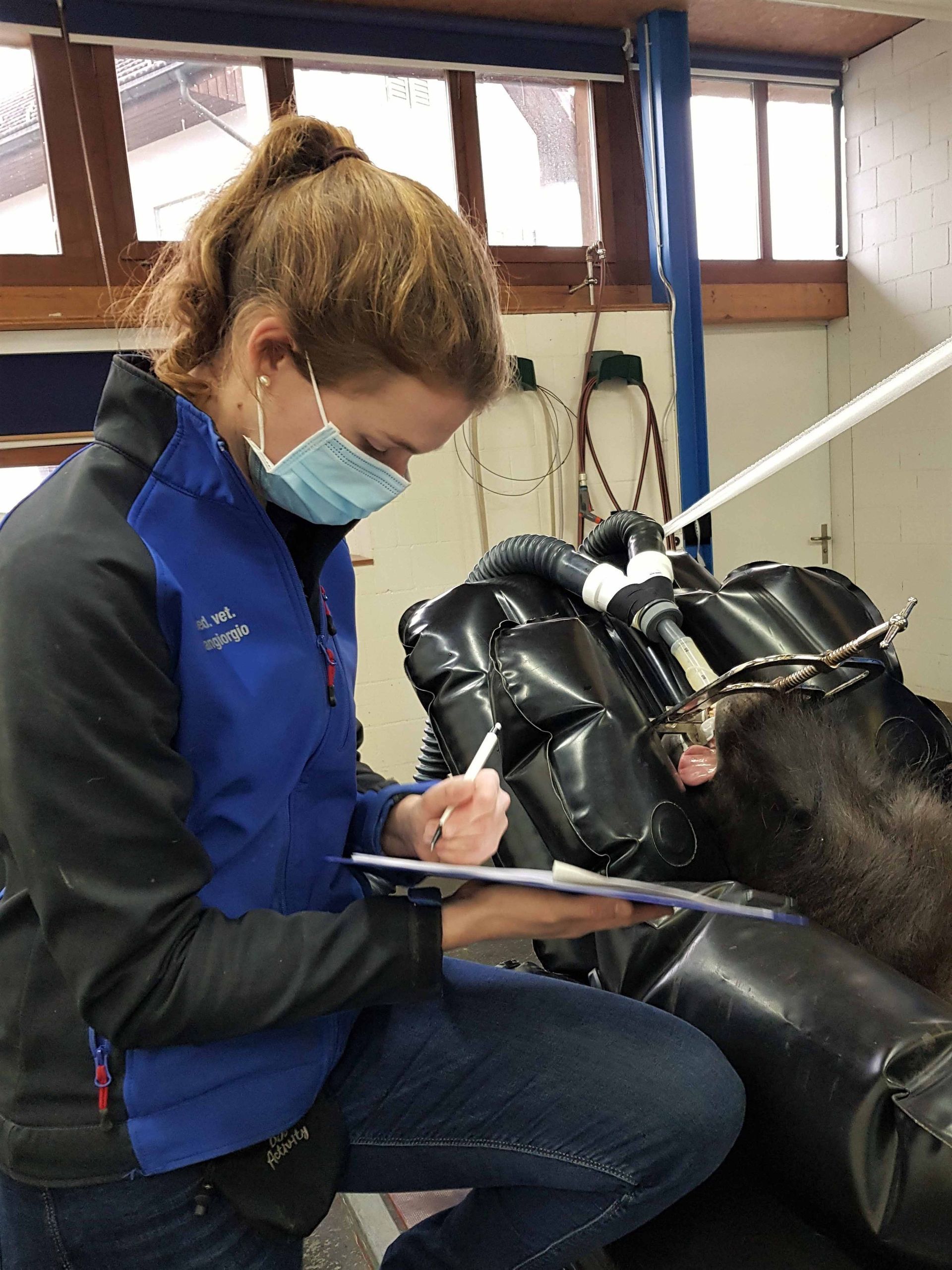 Pferdeklinik Moosweid
