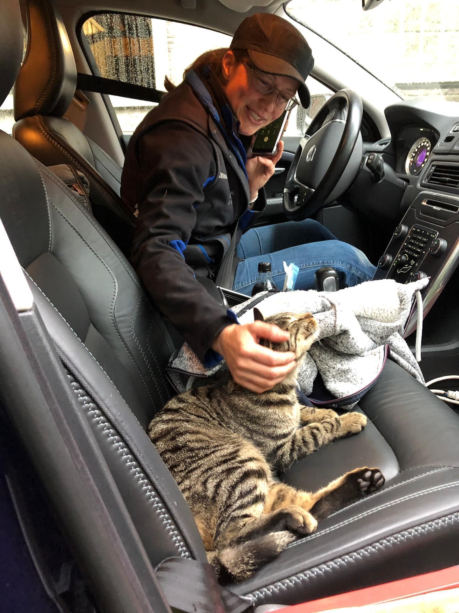 Katze und Mitarbeiter bei Pferdeklinik Moosweid