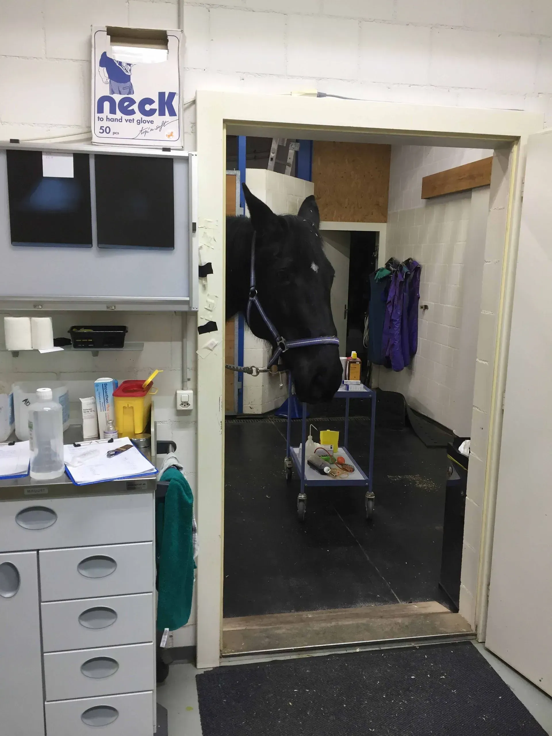 Das Labor von Pferdeklinik Moosweid