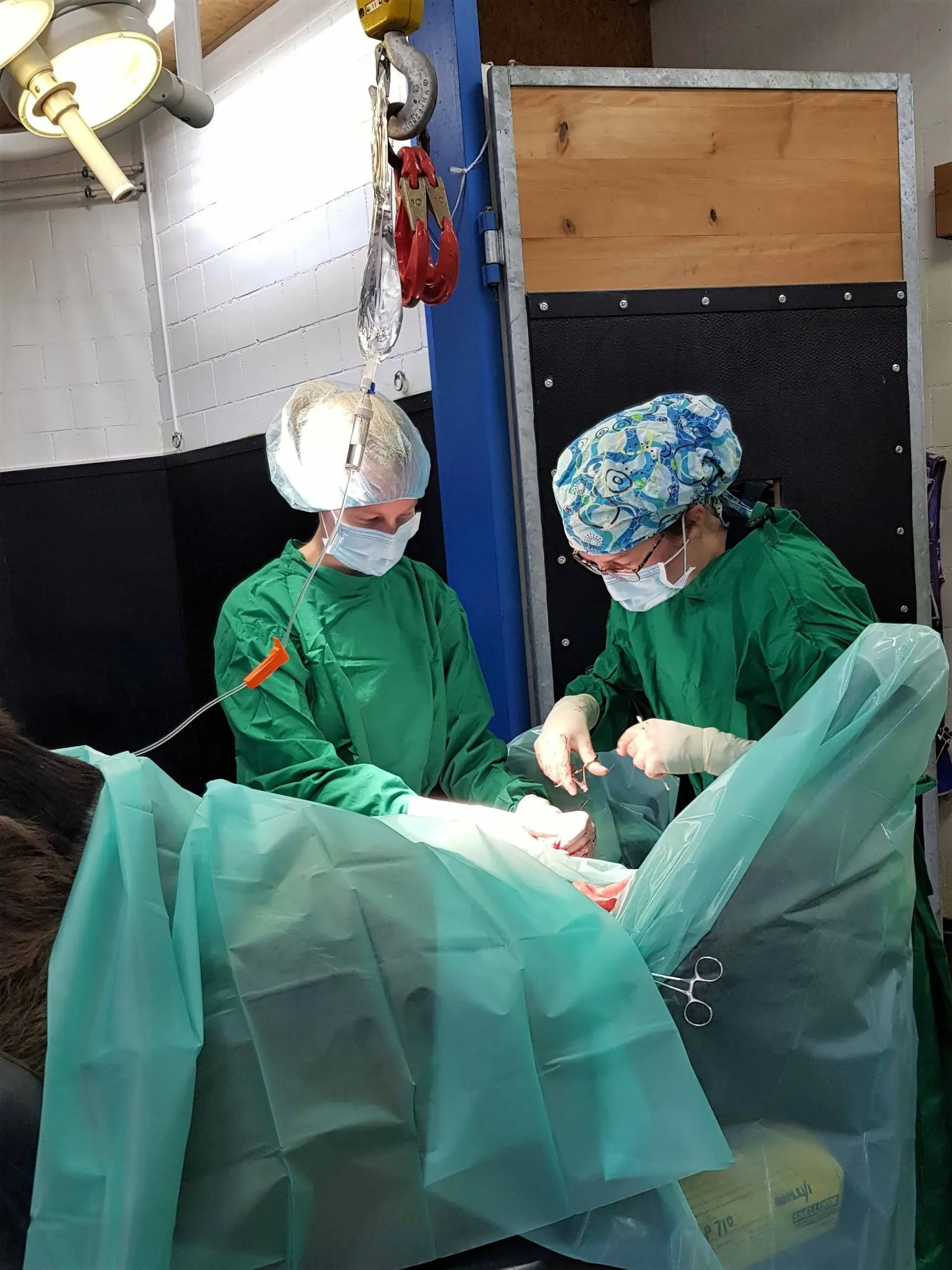 Operationssaal bei Pferdeklinik Moosweid