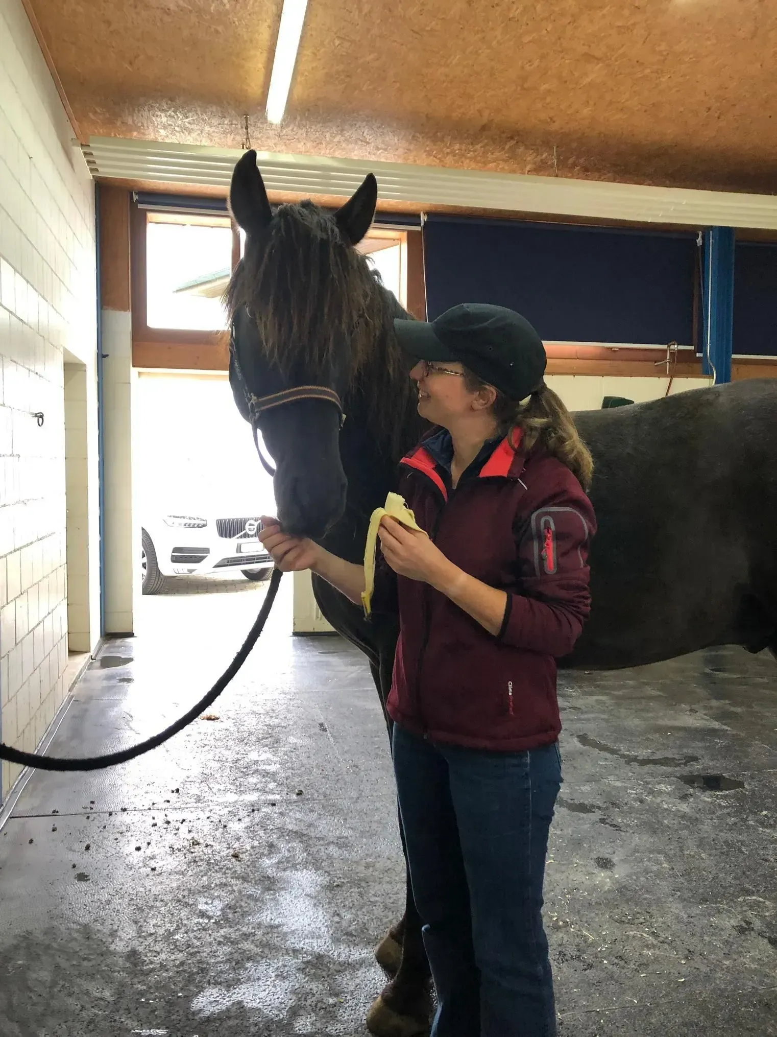 Pferdetraining bei Pferdeklinik Moosweid