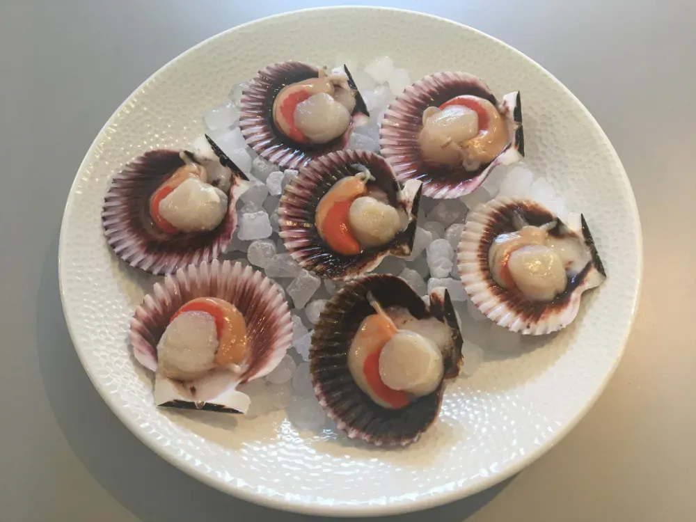 Plato de pasteles variados cubiertos de chocolate, con crema blanca y rodajas de fruta, en cápsulas para magdalenas