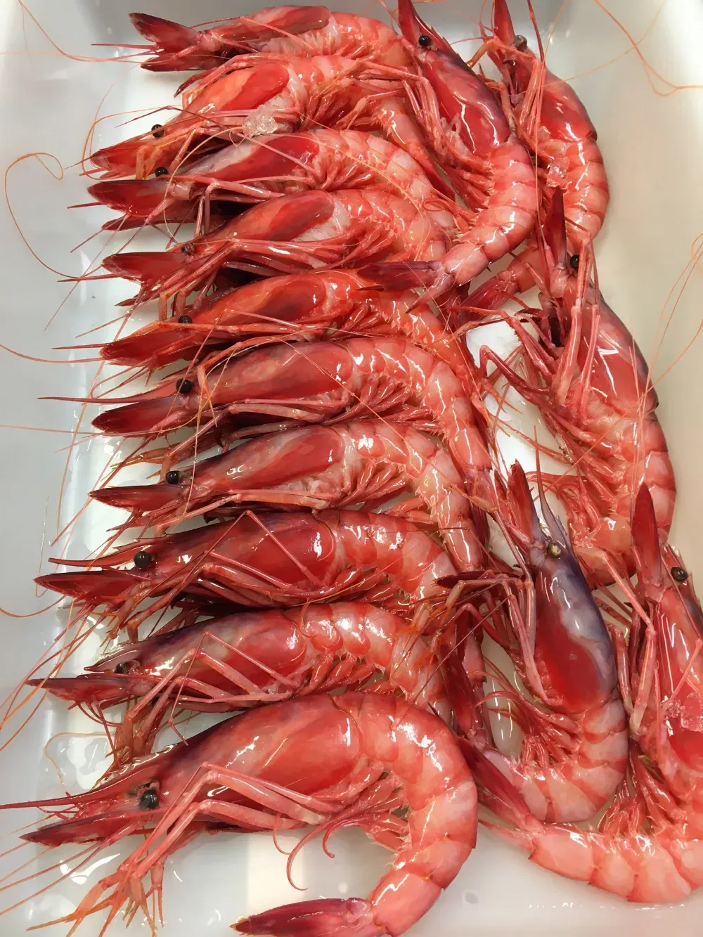 Montón de camarones rojos crudos sobre un fondo blanco