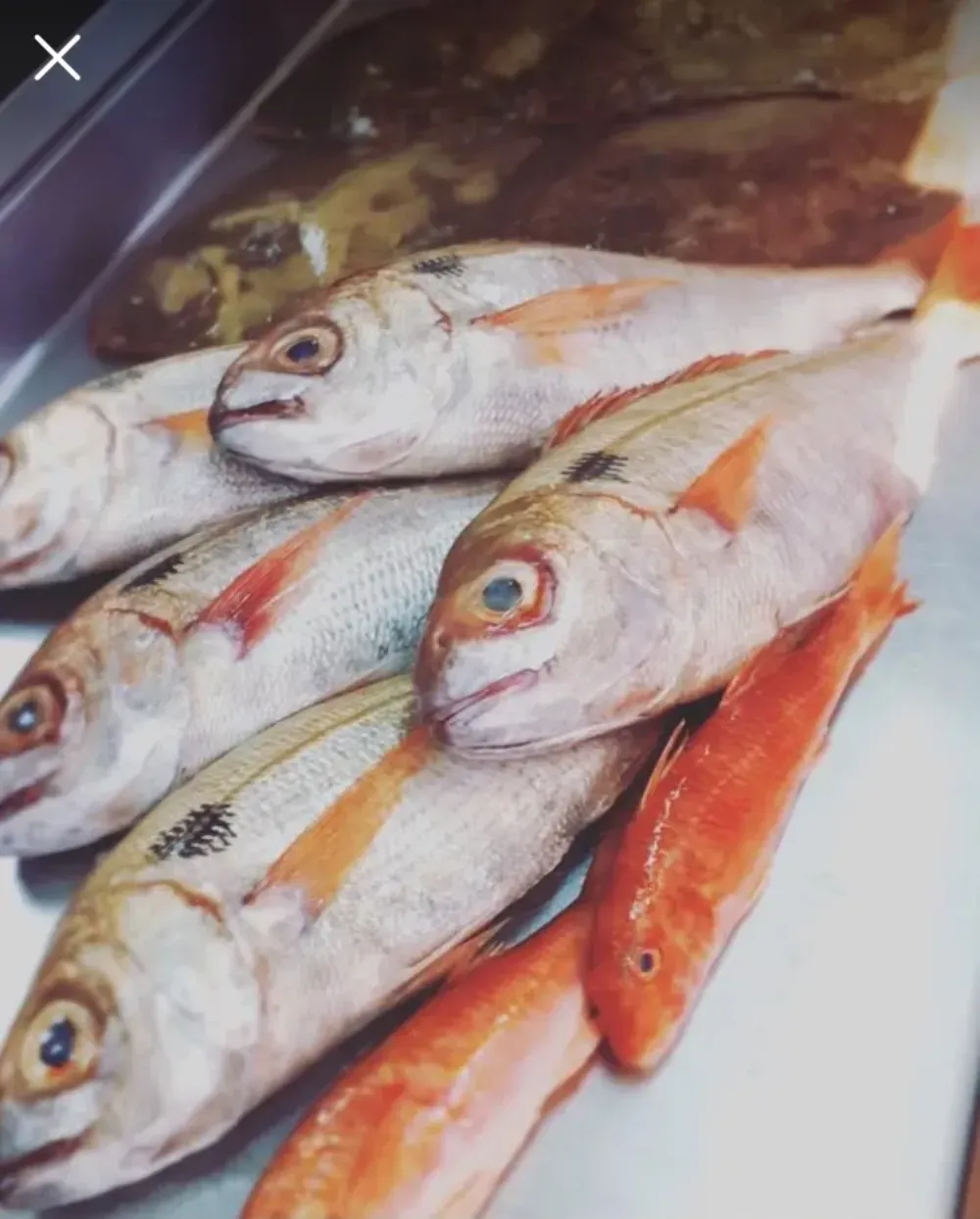 Varios pescados frescos en una bandeja, entre ellos peces plateados y naranjas, con las escamas blancas visibles.