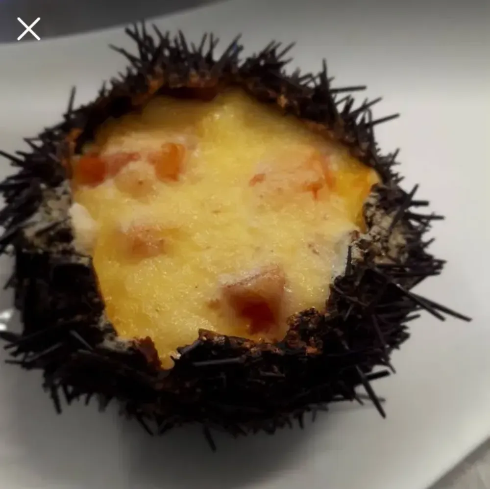 Erizo de mar abierto, con huevas amarillas, en un plato blanco