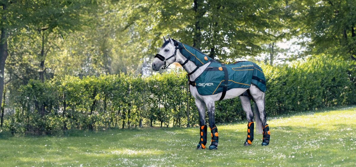 Un cheval portant une couverture se tient debout dans un champ herbeux.