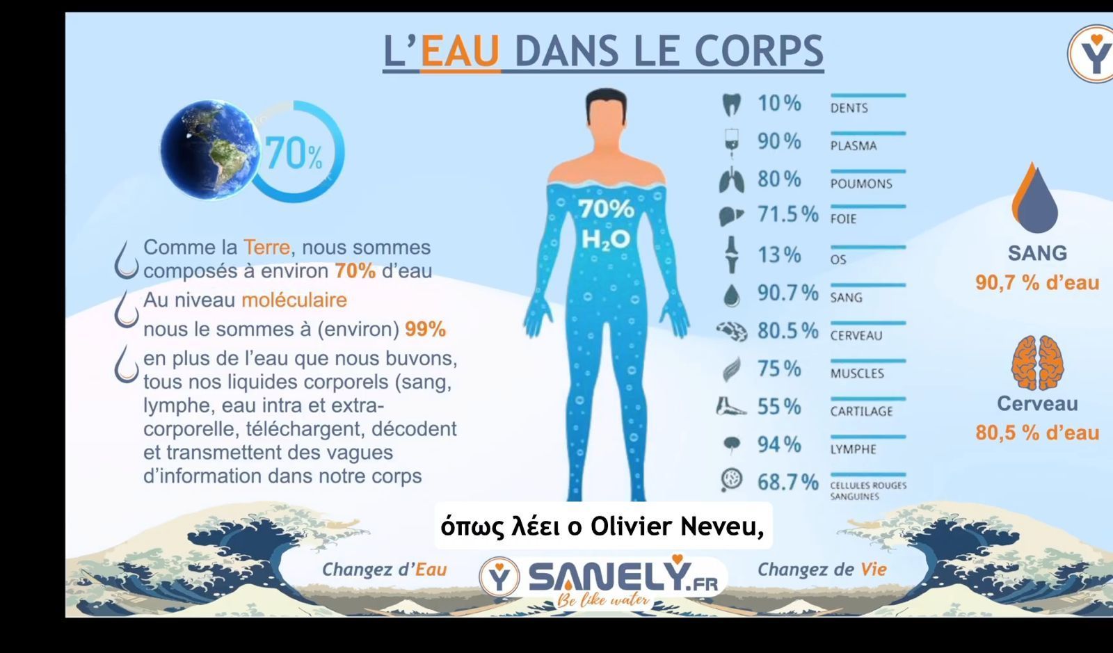 Une affiche montrant la quantité d'eau dans le corps humain