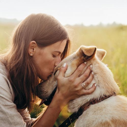 Une femme embrasse un chien sur le nez dans un champ.