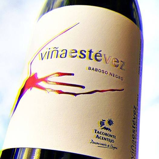 Un primer plano de una botella de Viña Estevez.