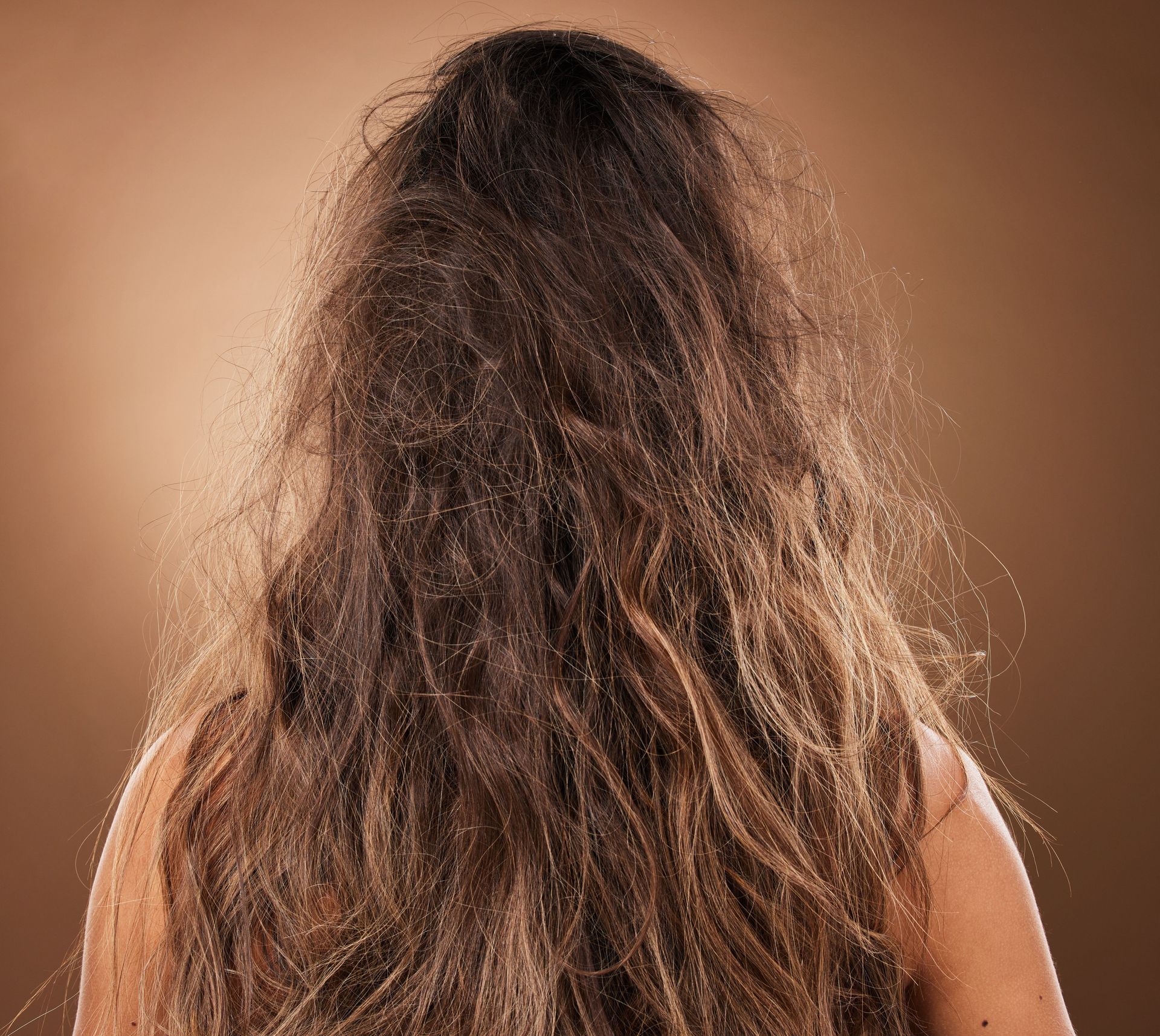 Vue de dos d'une personne aux cheveux châtains, emmêlés et abîmés