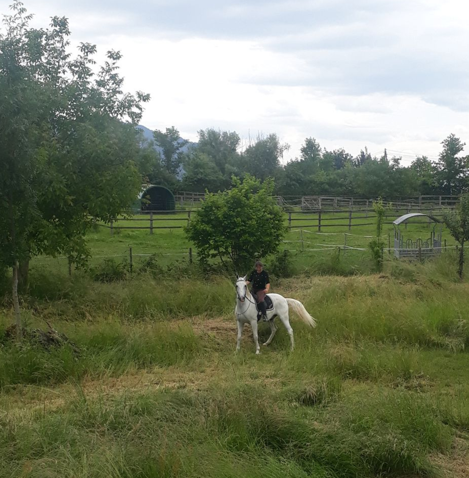 Centre Equestre Les Hauts de Corsinge - Alimentation cheval