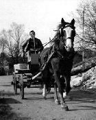 Centre Equestre Les Hauts de Corsinge - Concours hippique